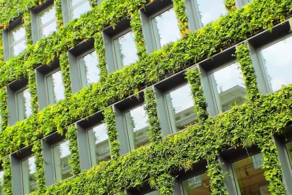 Blick auf eine begrünte Häuserfassade eines Hochhauses